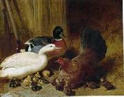 unknow artist Poultry 085 Spain oil painting artist